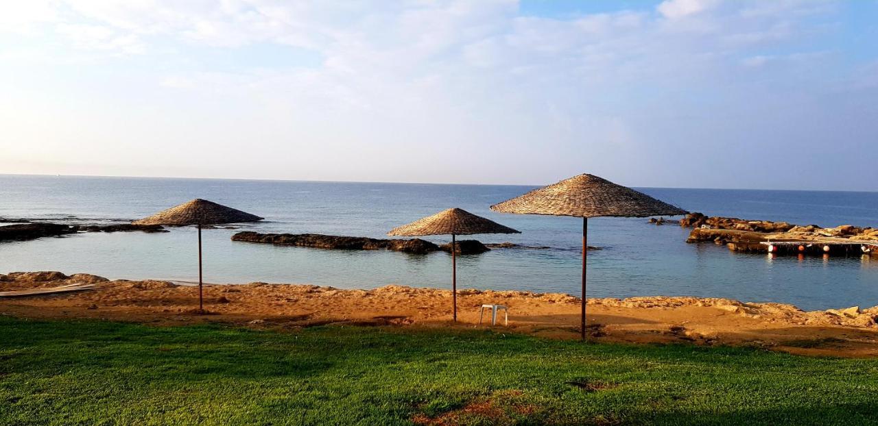 Penny'S Kato Paphos Apartment מראה חיצוני תמונה